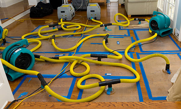 Professional Structural Drying And Dehumidification technician working in Del Rio, TX